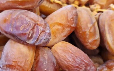 Description: Discover the nutritional power of Deglet Nour dates and why you should include them in your diet. Learn about their health benefits, rich fiber content, vitamins, minerals, natural energy boost, antioxidant properties, weight management support, versatility in culinary use, and their sustainable cultivation practices.